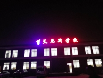 【艾尼斯學(xué)?！繕琼敯l(fā)光字效果